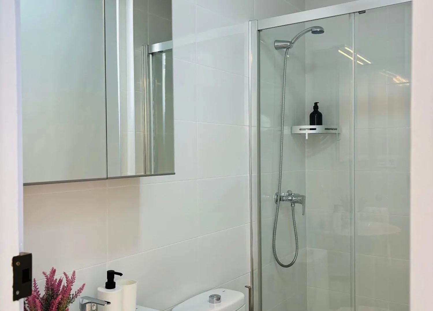 Apartamentos Alcazaba Málaga Spagna